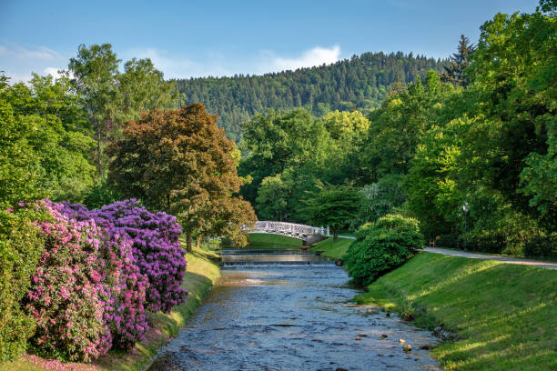 panoramic view on baden baden city river,canal  and mountains  baden wuerttemberg, germany - black forest landscape germany forest imagens e fotografias de stock