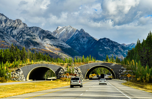 Trans-Canada Highway in Banff National Park,canada