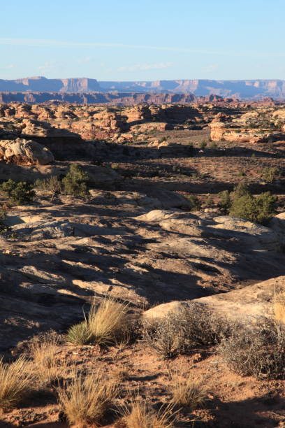 istock The Needles in Canyonlands National Park Utah 1082285064