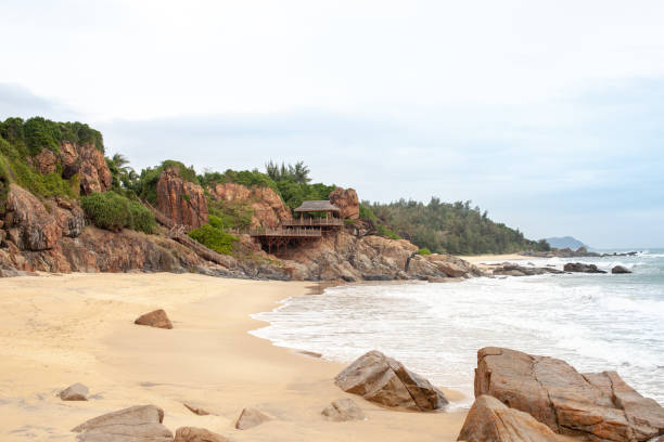 istock Red granite rock with tropical greenery on the beach 1082292476
