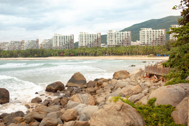 istock Tropical trees and boulders on the seashore 1082292960