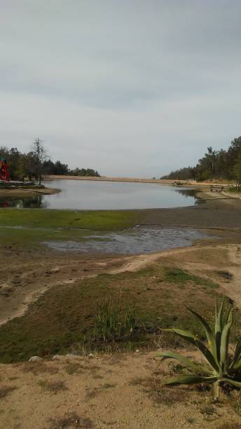 istock the lake in the park 1082294318