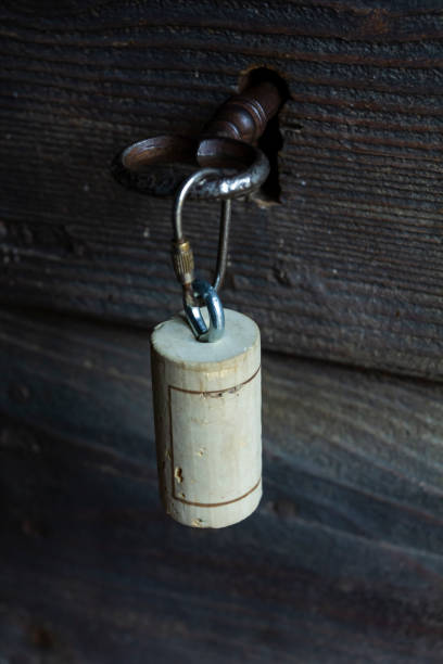 istock Cork stopper on the door. 1082294866