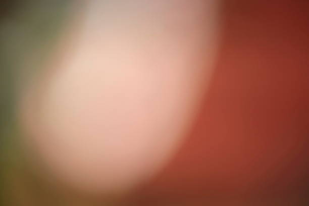 istock The blur of the camera blur does not focus. 1082295348
