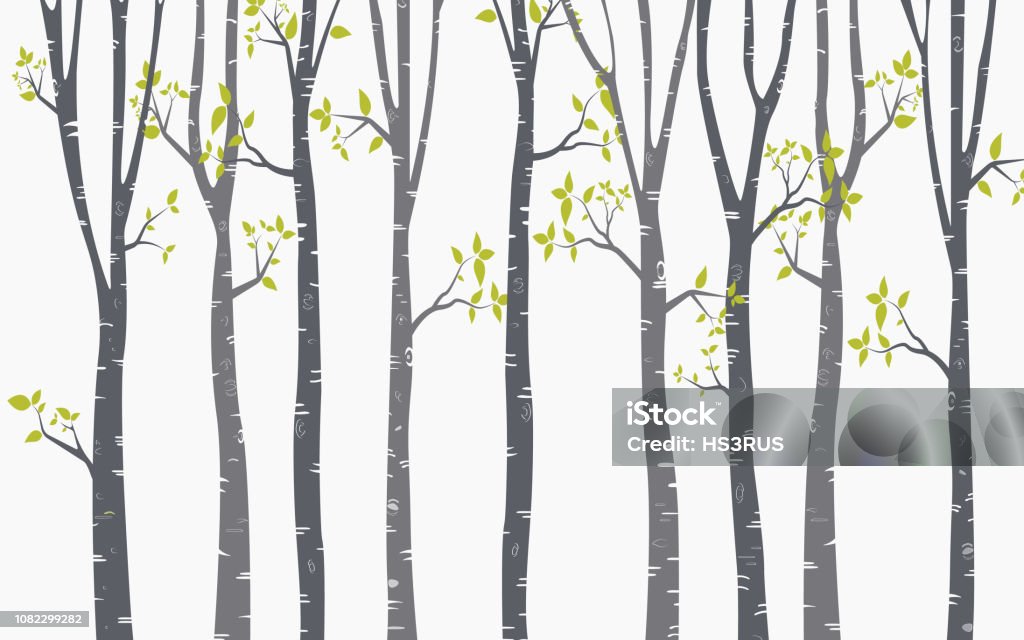 Tree Birch Background Stock Illustration - Download Image Now - Birch ...