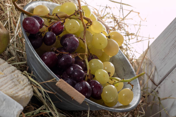 istock a bunch of red and white grapes on the straw 1082304794