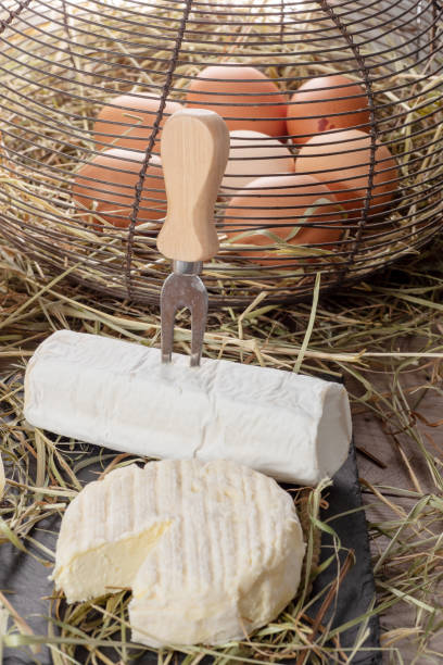 französischer käse von saint-marcellin mit eiern auf dem stroh - dauphinois stock-fotos und bilder