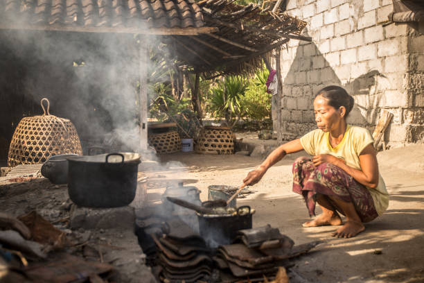 vida doméstica de una mujer balinesa hacer cocinar al aire libre - editorial indian culture traditional culture horizontal fotografías e imágenes de stock