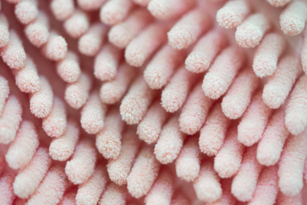istock Closed-up pink microfiber  mop strands texture background. Macro shot. 1082320026