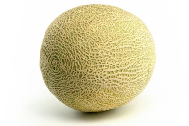 Whole melon Whole melon on white background honeydew melon stock pictures, royalty-free photos & images