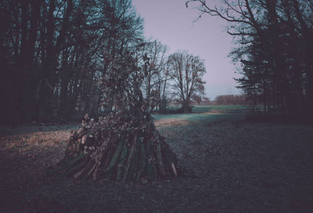 istock Prepared fireplace on the meadow 1082339080