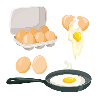 chicken eggs, whole, broken, cooking eggs, vector set. vector illustration