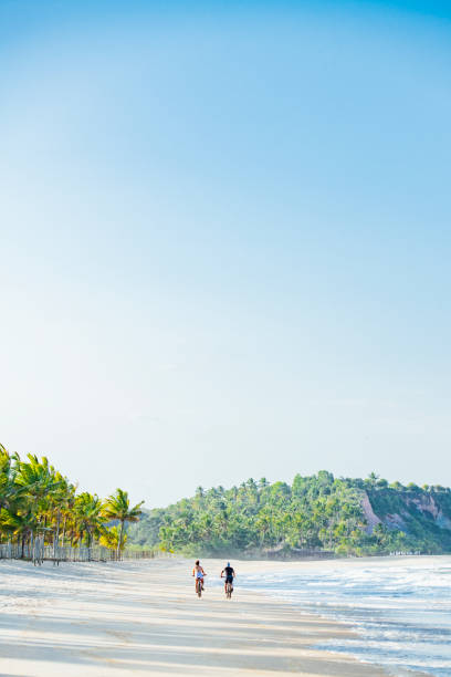 Beautiful Sargi beach surrounded by coconut trees and completely deserted on a summer morning in Serra Grande on the coast of Bahia