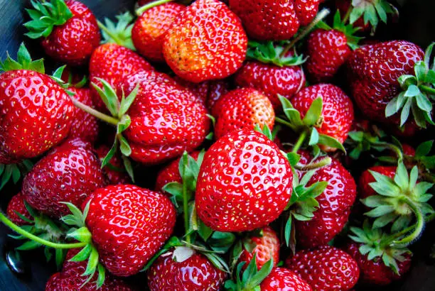 Fresh sweet strawberry. Strawberry background