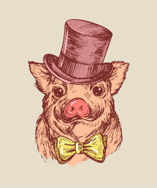Hand draw a portrait of a little pig wearing a top hat and a the bow tie. Vector sketch illustration. Hand draw a portrait of a little pig wearing a top hat and a the bow tie. Vector sketch illustration. Symbol of a Chinese New Year 2019 fat humor black expressing positivity stock illustrations