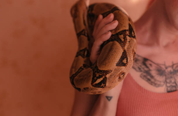 istock Young woman holding snake 1082349936