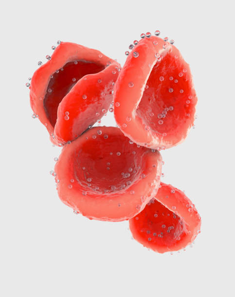 3d illustration of red blood cells that transport oxygen adhering to them through the bloodstream - adhering imagens e fotografias de stock