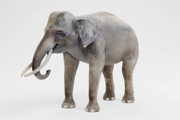 istock Realistic 3D Render of Asian Elephant - Male 1082351604