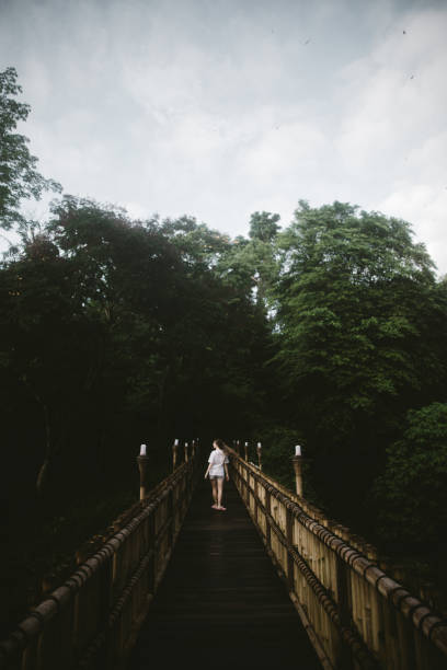 istock Woman going to the jungle by bridge on Bali 1082356736
