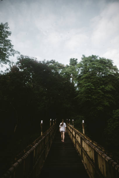 istock Woman going to the jungle by bridge on Bali 1082356844