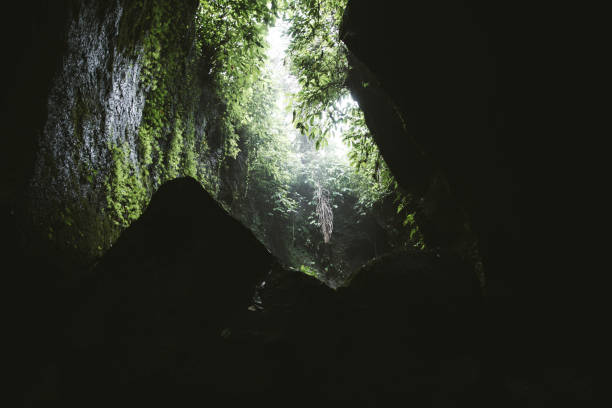 istock Sunrise over hidden jungle canyon on Bali 1082356898