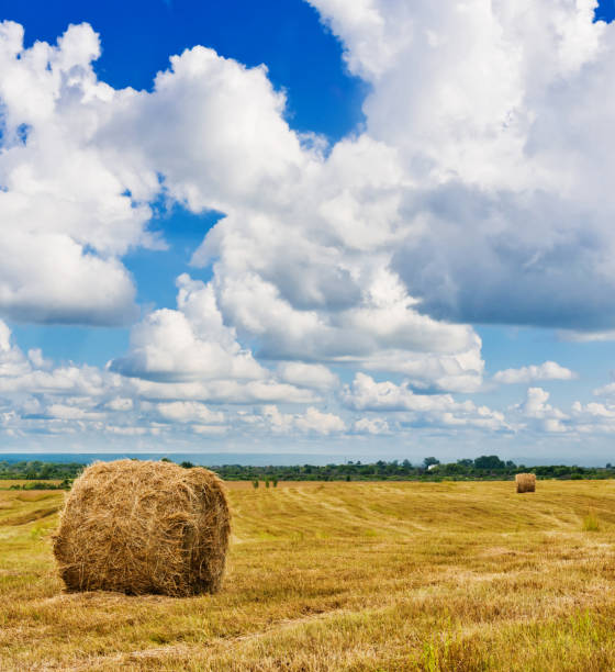 istock Beautiful countryside landscape. 1082356948