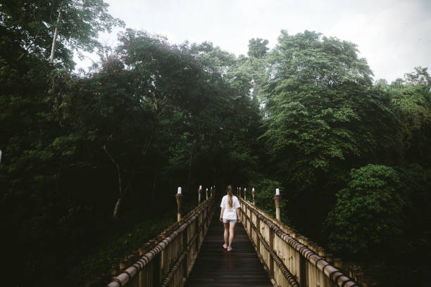 istock Woman going to the jungle by bridge on Bali 1082356952