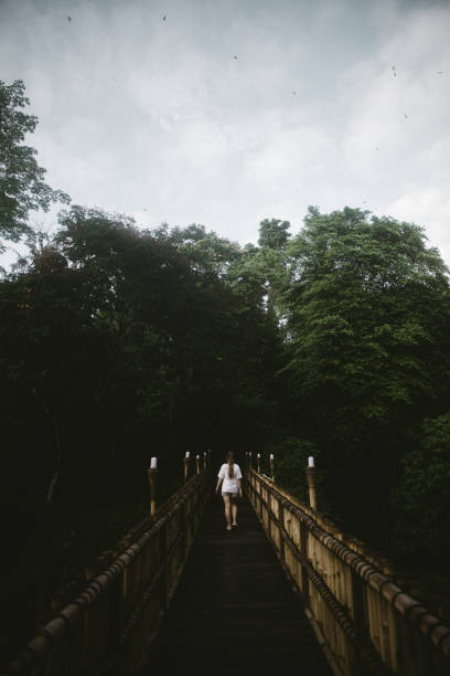 istock Woman going to the jungle by bridge on Bali 1082356978