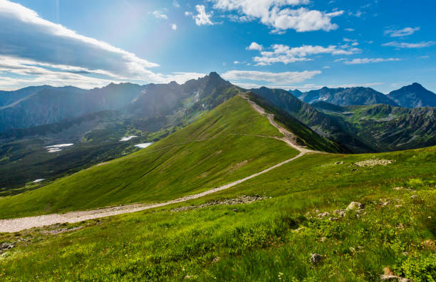 istock Summer Tatra Mountain, Poland 1082359452