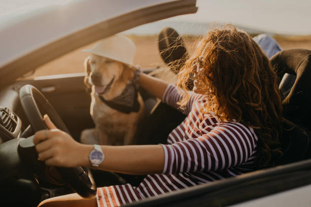 istock He's her best companion 1082359806
