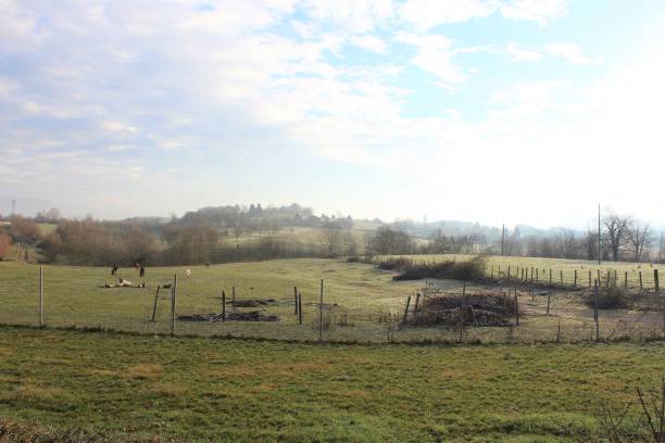 istock NEAR FIELDS AND HILLS OF THE DAUPHINE 1082361892