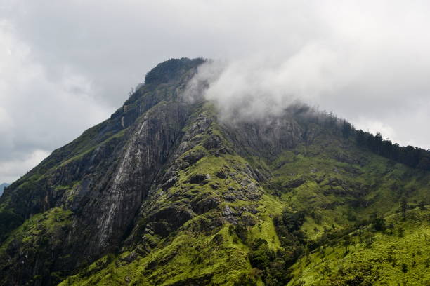 Ella Rock peak view Ella Rock peak near Ella village in the mountains in Sri Lanka. Bright green grass and rocks under stunning clouds. Beautiful mountains landscape. ella sri lanka stock pictures, royalty-free photos & images