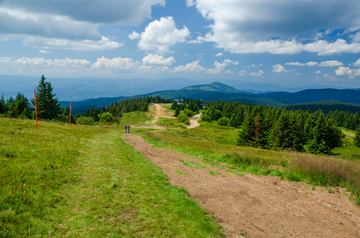 Picturesque landscape of meadows and hills in summer - Kopaonik, Serbia