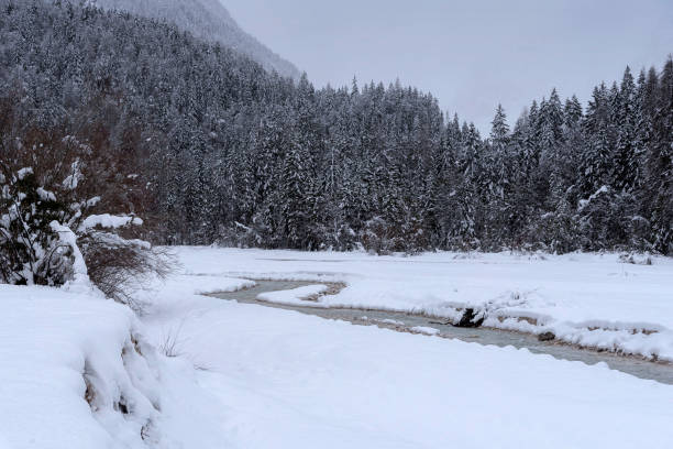 istock Winter in Kranjska Gora 1082373618