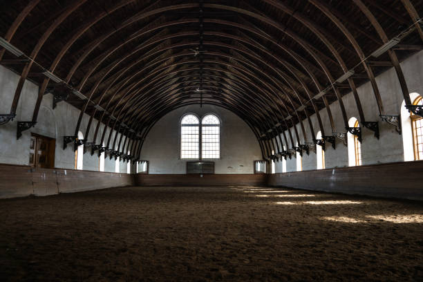 istock Beautiful roof construction with curved arches 1082374134