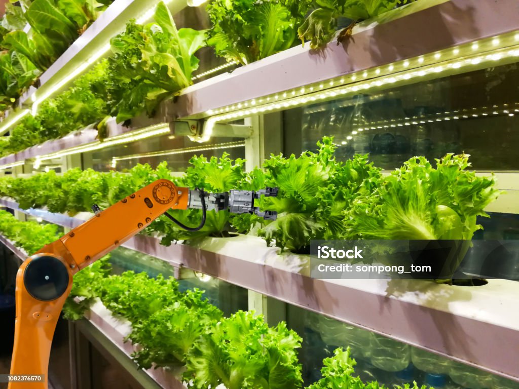 Agricoltori robotici intelligenti in agricoltura futuristica automazione robot a fattoria vegetale - Foto stock royalty-free di Agricoltura