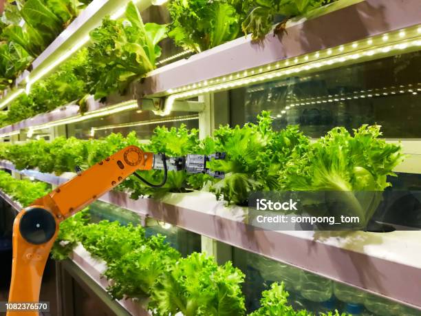 Foto de Agricultores Robóticos Inteligentes Em Automação De Robô Futurista Agricultura Fazenda Vegetal e mais fotos de stock de Agricultura