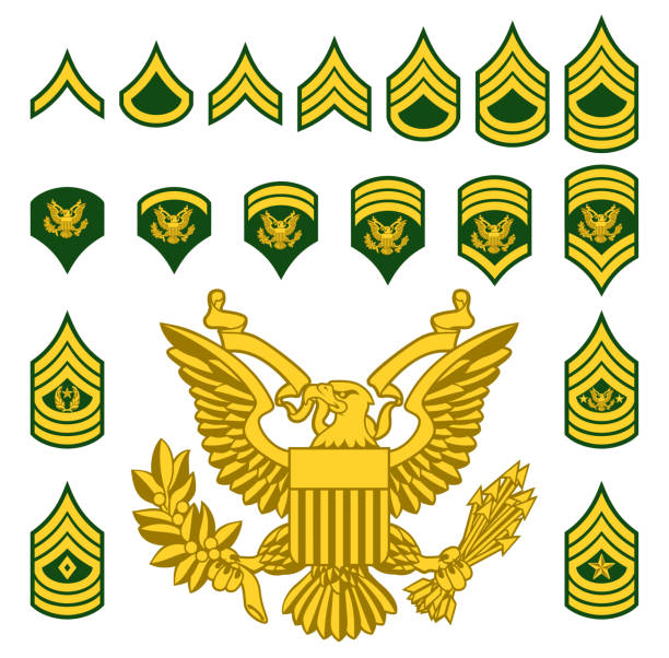 Military Army Enlisted Rank Insignia Set of army military American enlisted ranks insignia badges icons sergeant badge stock illustrations