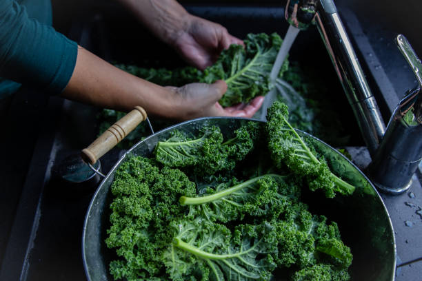 Woman is washing kale leaves with water in the kitchen sink top view on windows light stock photo