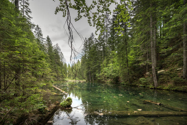 istock Lake Constance at Nassfeld 1082386652