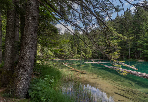istock Lake Constance at Nassfeld 1082389080