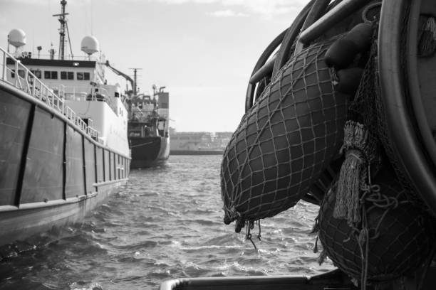istock Ship in the haven in black and white 1082394178