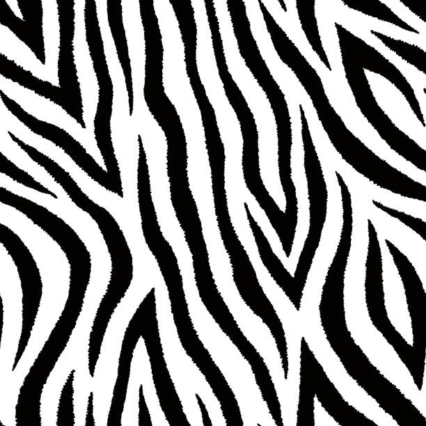nahtlose muster mit zebra fell print. vektor wallpaper. tierische hauttextur. - tierimitation stock-grafiken, -clipart, -cartoons und -symbole