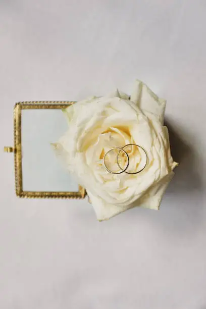 Photo of wedding rings with rose flowers, selective focus