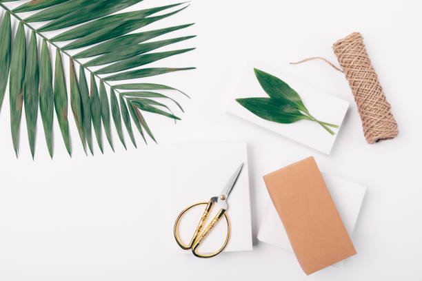 istock Stylish flat lay composition of palm leaf 1082401982