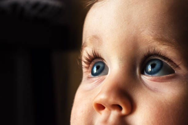 Baby Blue Eyes The bright blue eyes of a nine month old girl. iris eye photos stock pictures, royalty-free photos & images