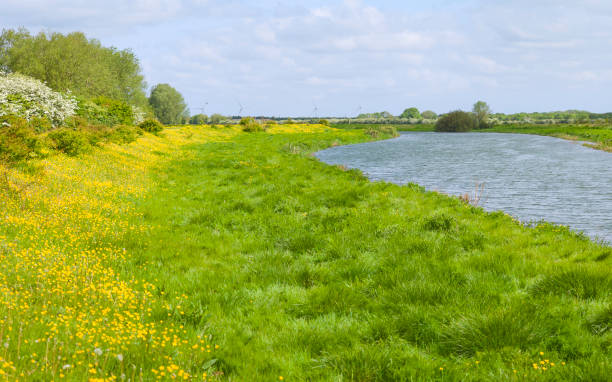 istock Footpath along river Hull on a fine spring morning, Yorkshire, UK. 1082419754