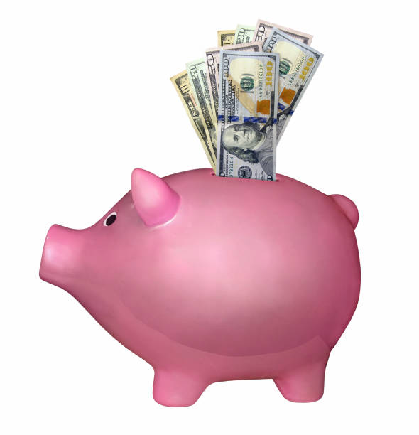 istock Piggy bank with protruding dollars 1082419904