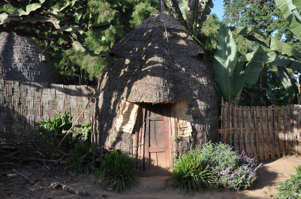 istock Traditional Dorze tribe village,Chencha, Ethiopia 1082422504