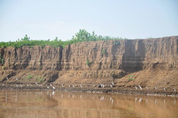 istock Omo river in Omo Valley, Ethiopia 1082423802